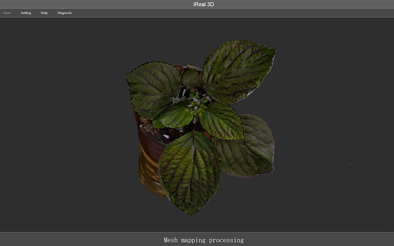 3D Scanning Plants